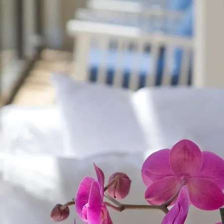 Sandy & - Ex Sentido Hotel 5*