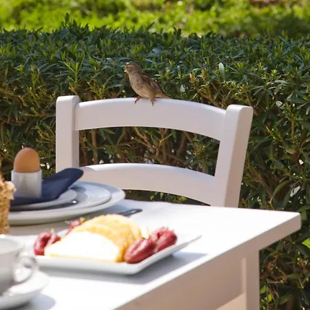 Sandy & - Ex Sentido 4*