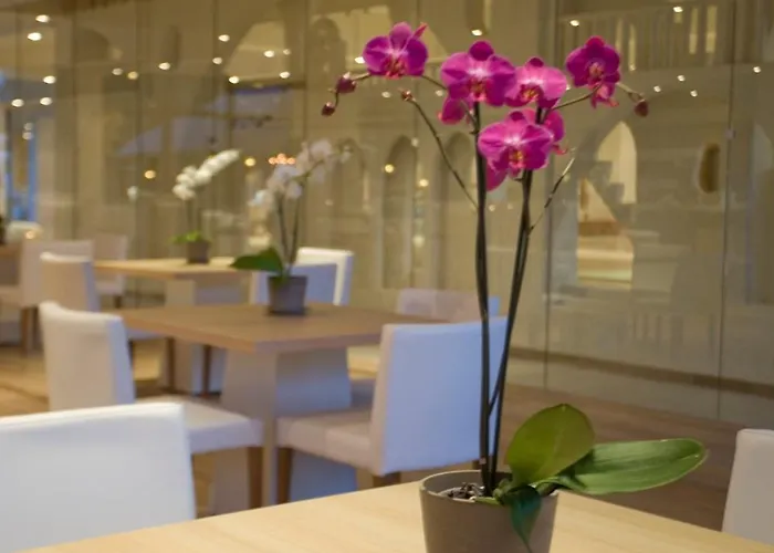 Sandy & - Ex Sentido 4* ラルナカ