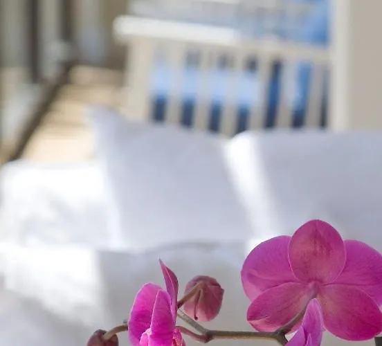 Sandy & - Ex Sentido ホテル 4*