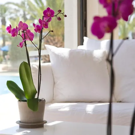 Sandy & - Ex Sentido Отель